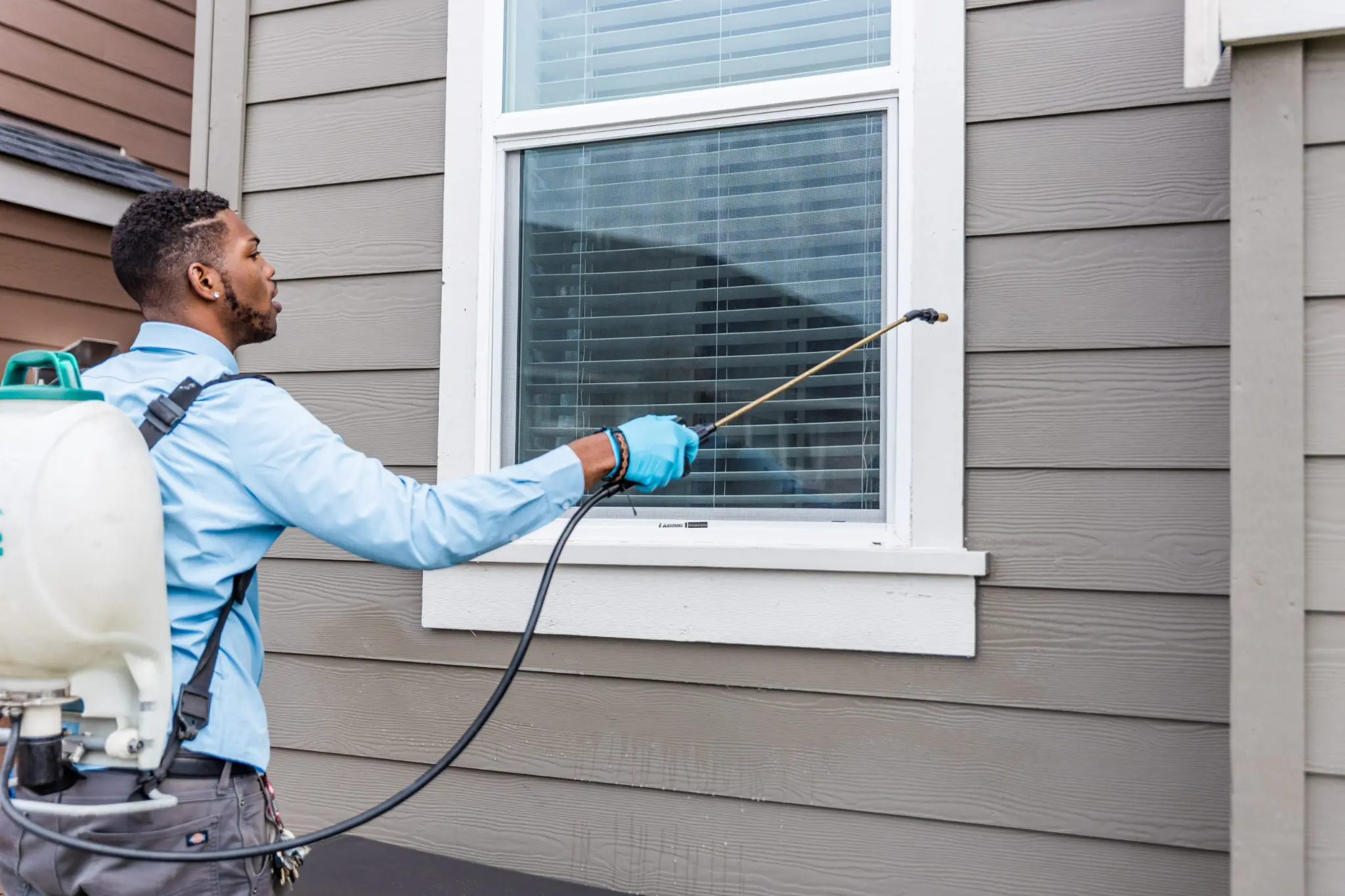 Window pest control treatment